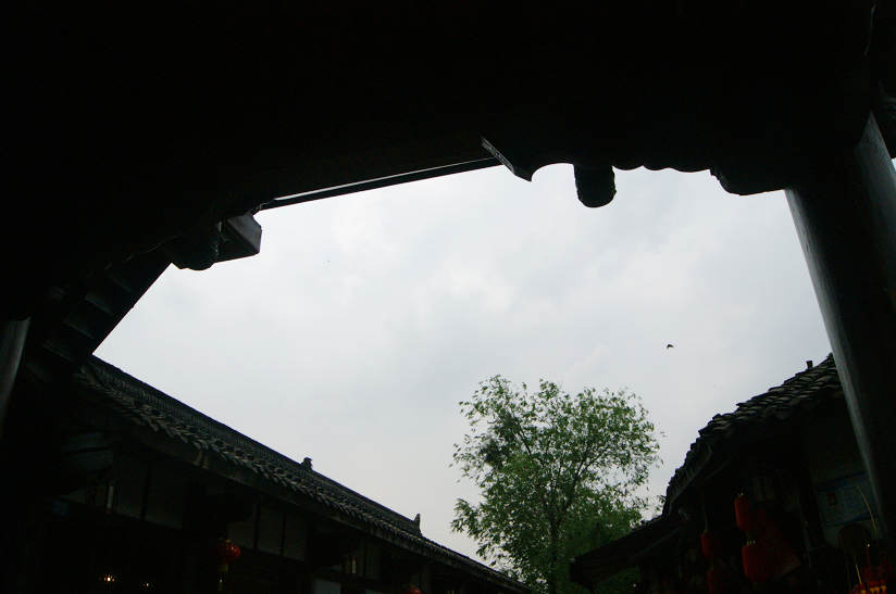 dsc07974.jpg