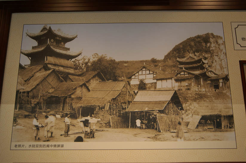 dsc07986.jpg