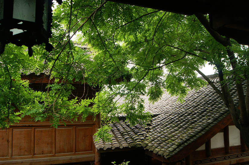 dsc08012.jpg