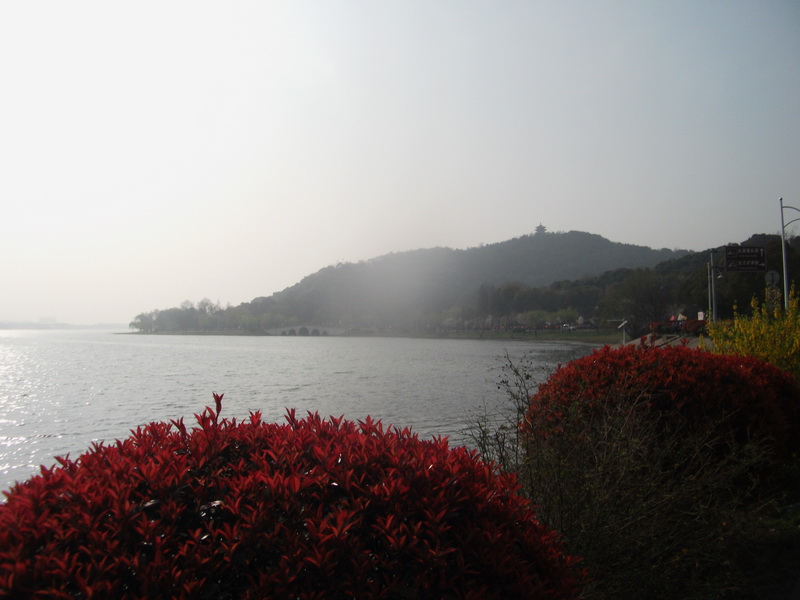 dscf1036.jpg