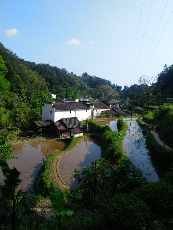 img20160430153256.jpg