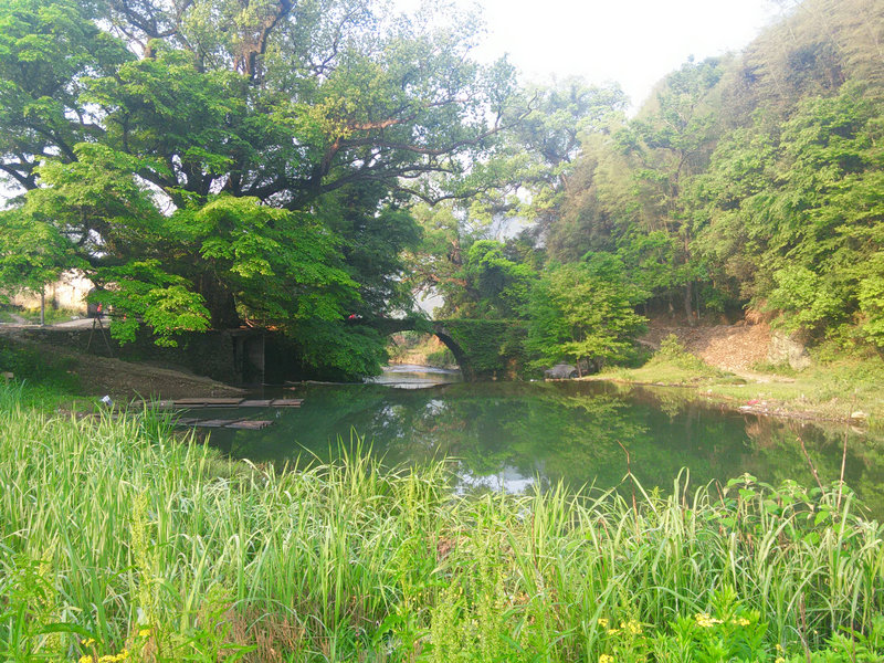 img20160501065849.jpg