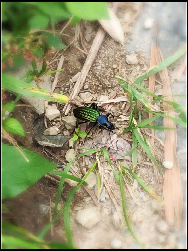 qq图片20160506155759.jpg