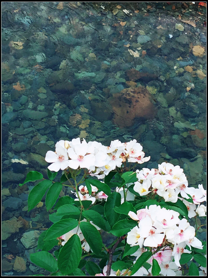 qq图片20160506155812.jpg