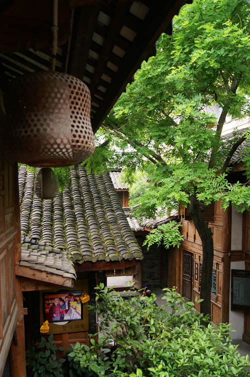 dsc08015.jpg