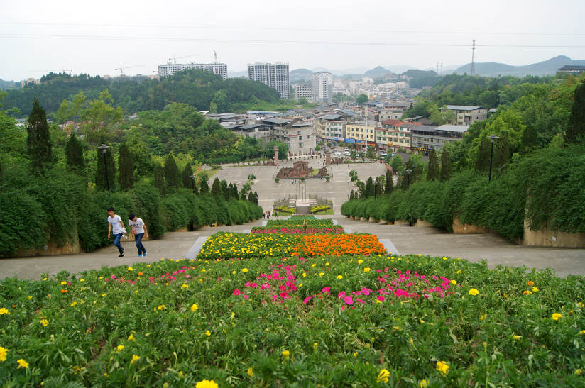 dsc08053.jpg