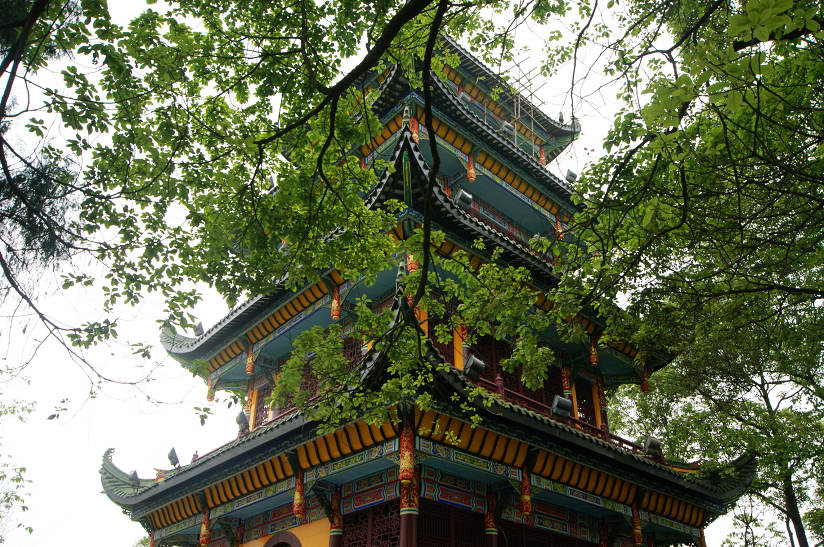 dsc08080.jpg