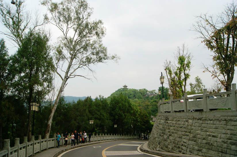 dsc08086.jpg
