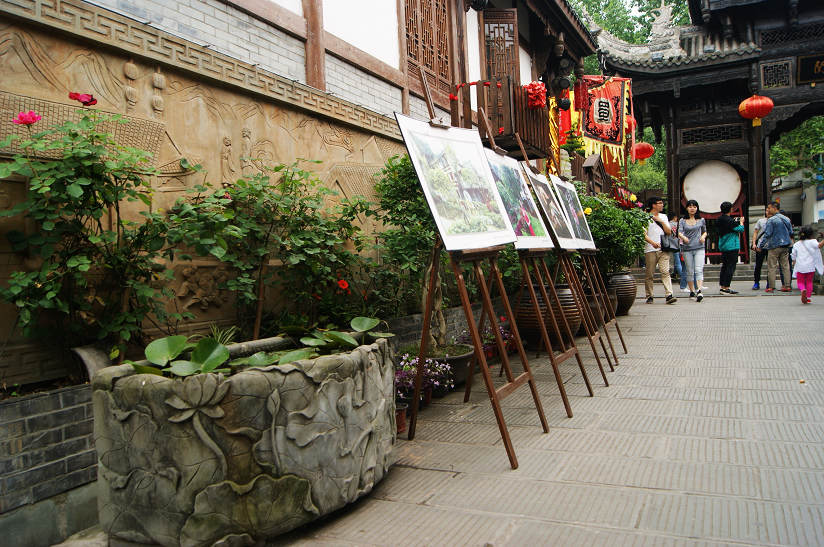 dsc08095.jpg