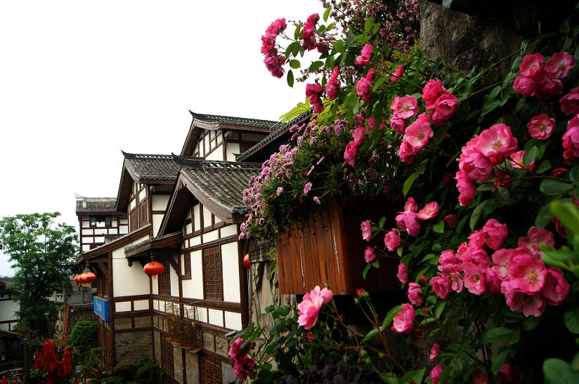 dsc08106.jpg