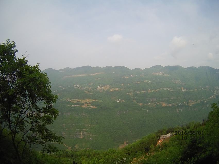 file0083.jpg