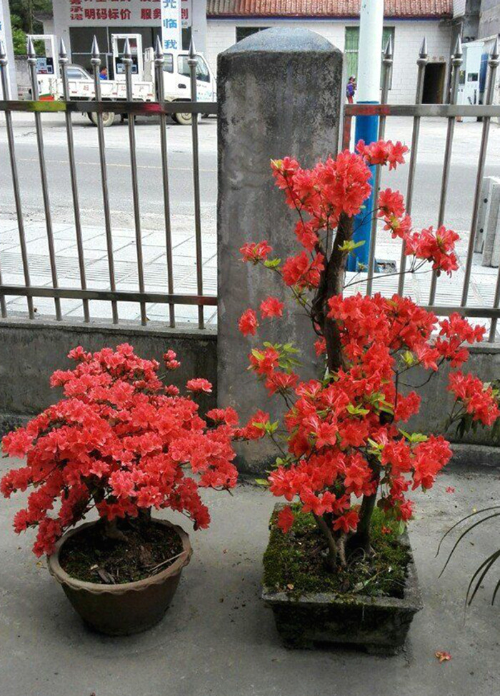 qqͼƬ20160505072335.jpg