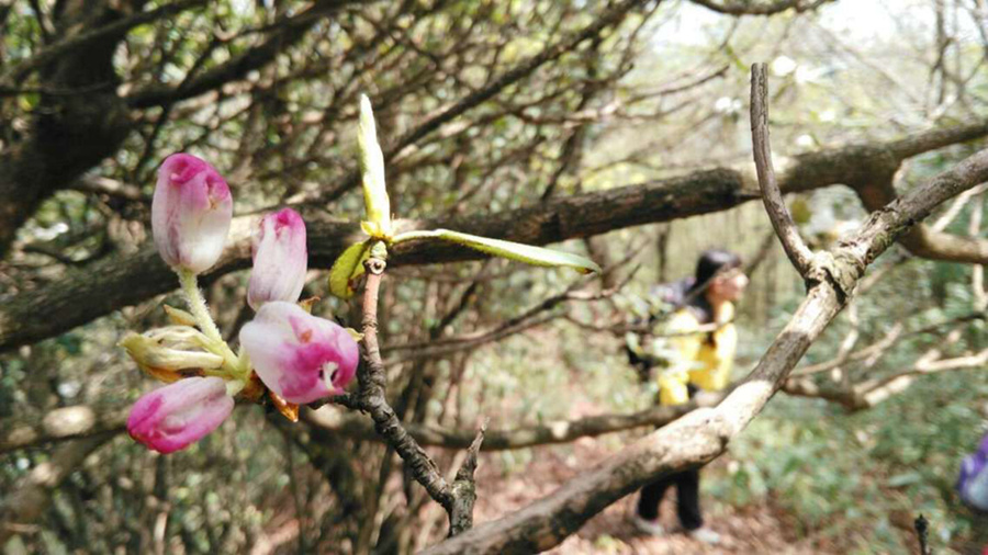 qqͼƬ20160504082833.jpg