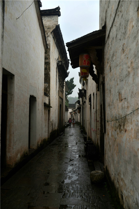 dsc_8748_.jpg