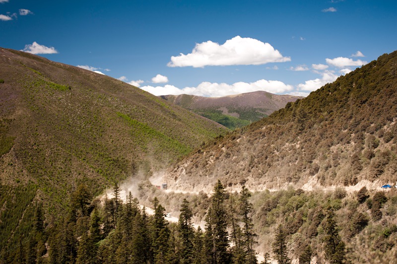 _dsc3111_.jpg