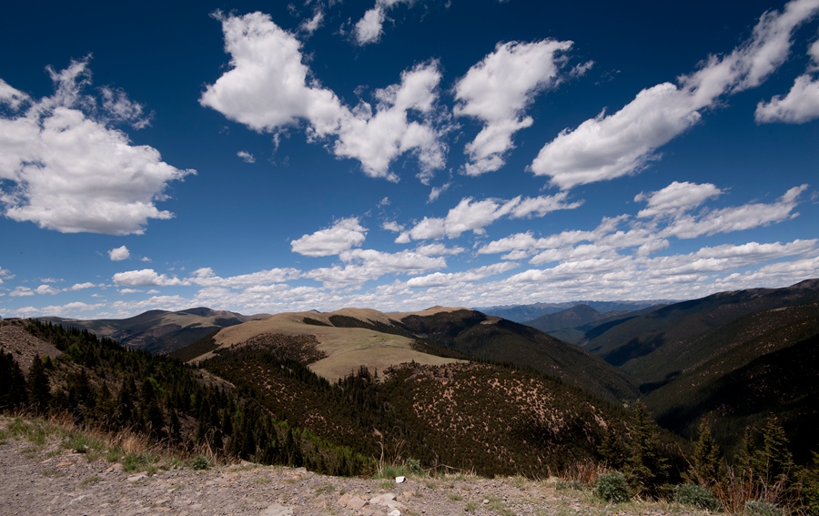 _dsc3198.jpg