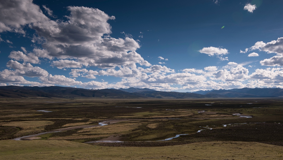 _dsc3236.jpg