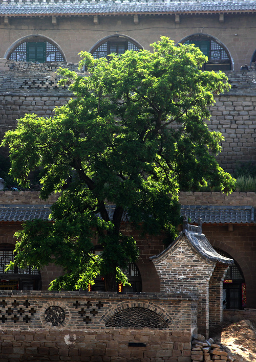 img_0454_副本1_副本.jpg