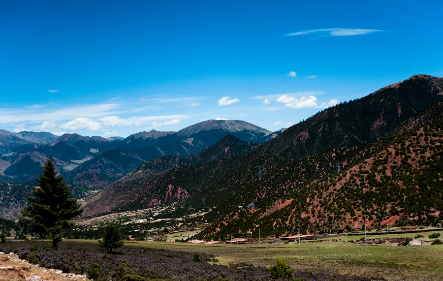 _dsc3386.jpg