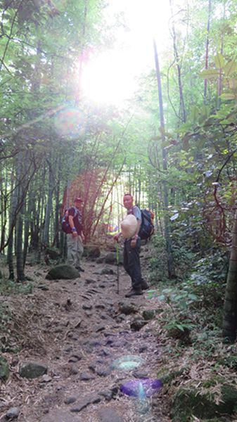 img_5291_路网.jpg