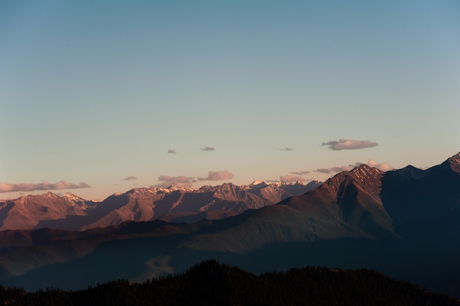_dsc3514.jpg