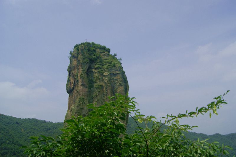 dsc08356_.jpg