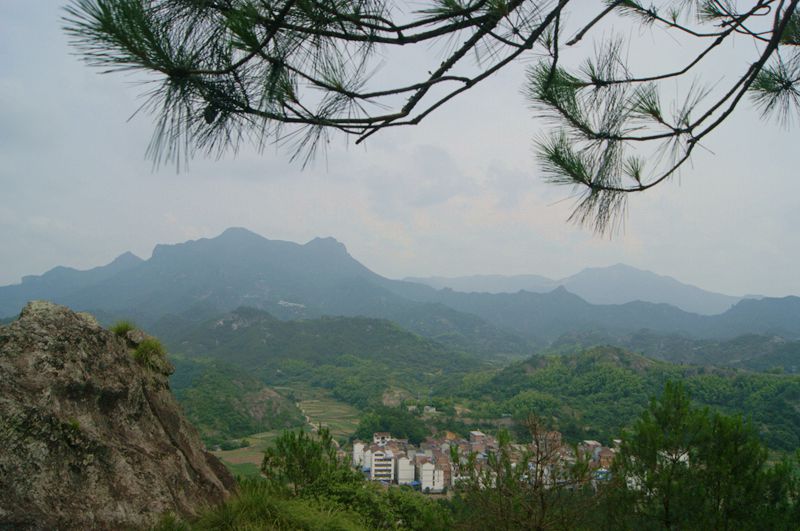 dsc08452_.jpg