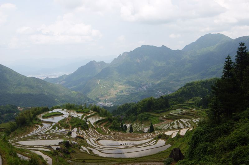 dsc08742_.jpg
