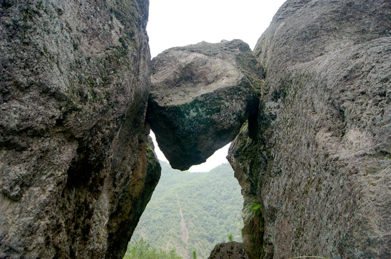 dsc08390_.jpg