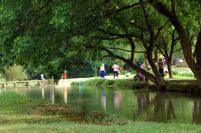 dsc08500_.jpg