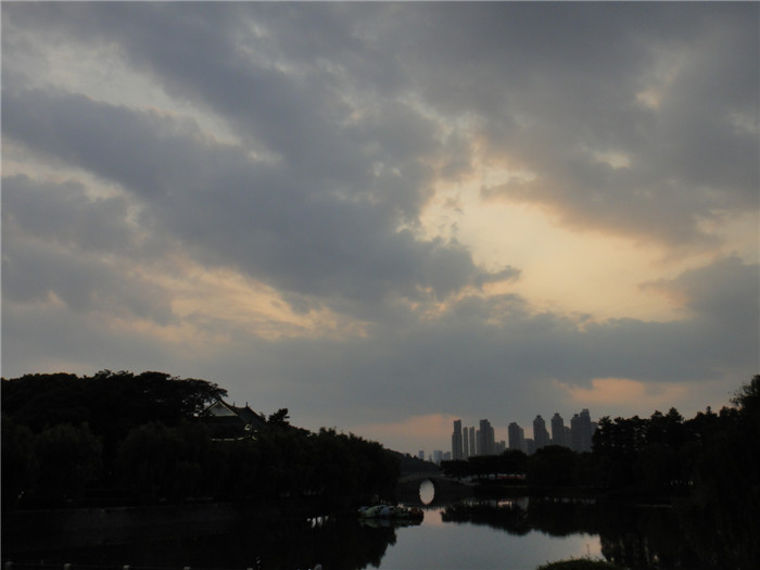 dsc08898.jpg