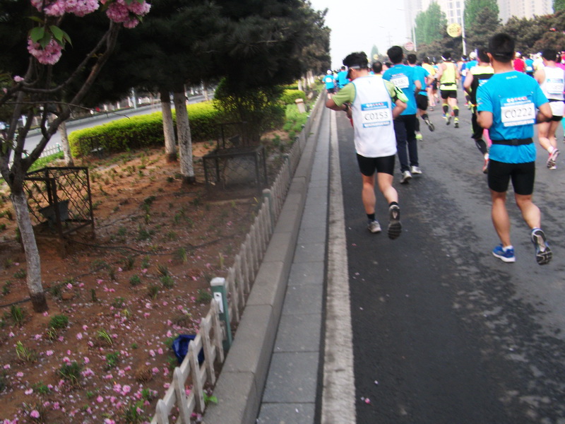 dscf0066.jpg