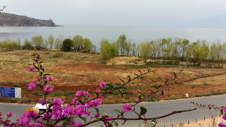 20160224_150255_.jpg