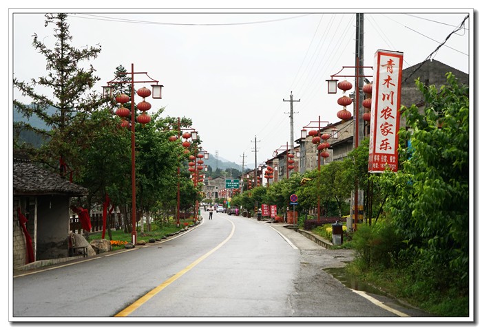 dsc08642.jpg