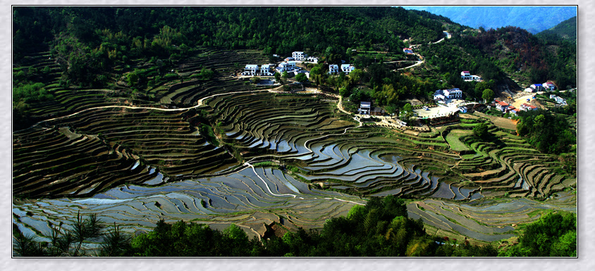 img_8313_副本_副本.jpg