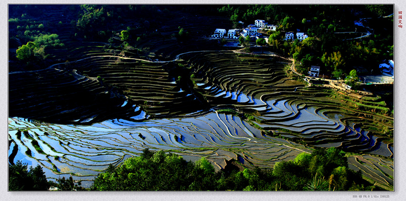 img_8335_副本_副本.jpg