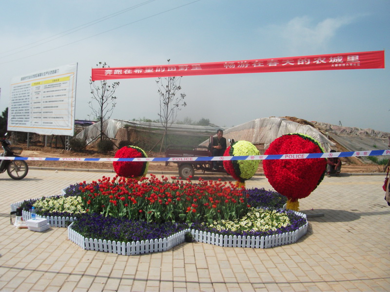 dscf1237.jpg