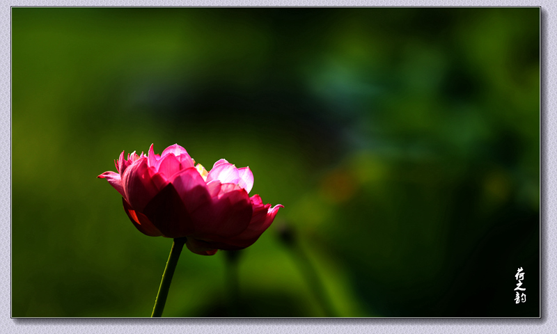 img_1840__.jpg