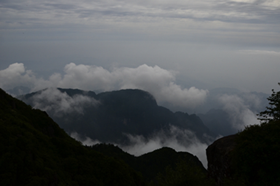 _dsc0603.jpg