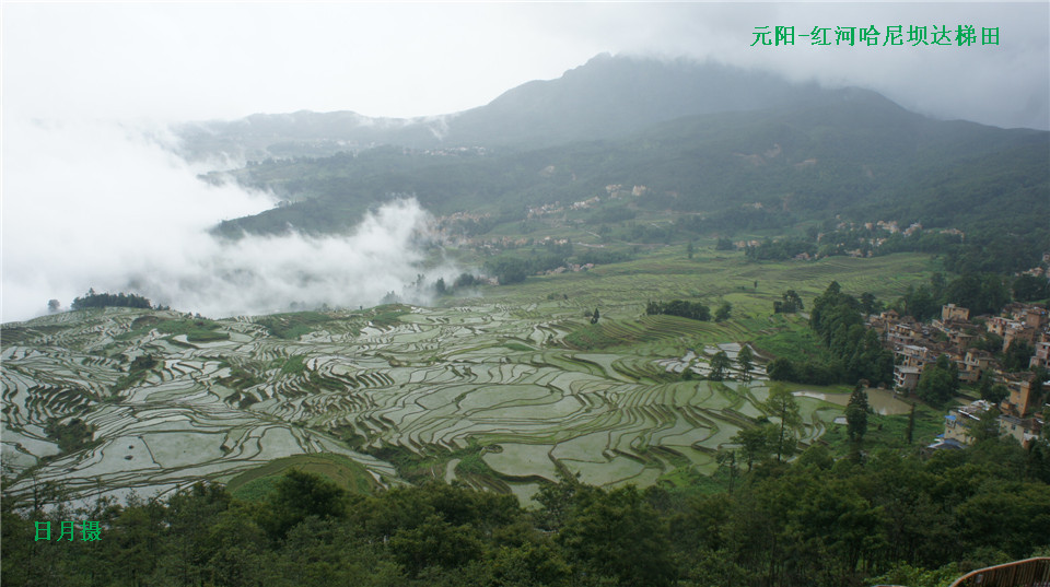 dsc02173_.jpg