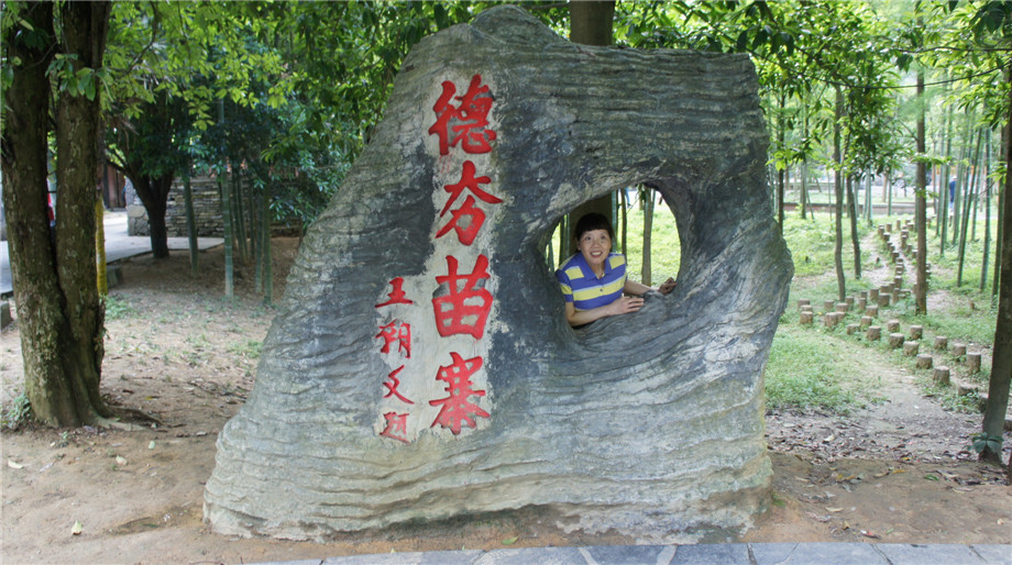 dsc00810.jpg