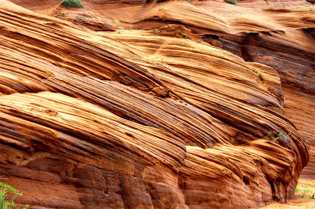 _igp3644_.jpg