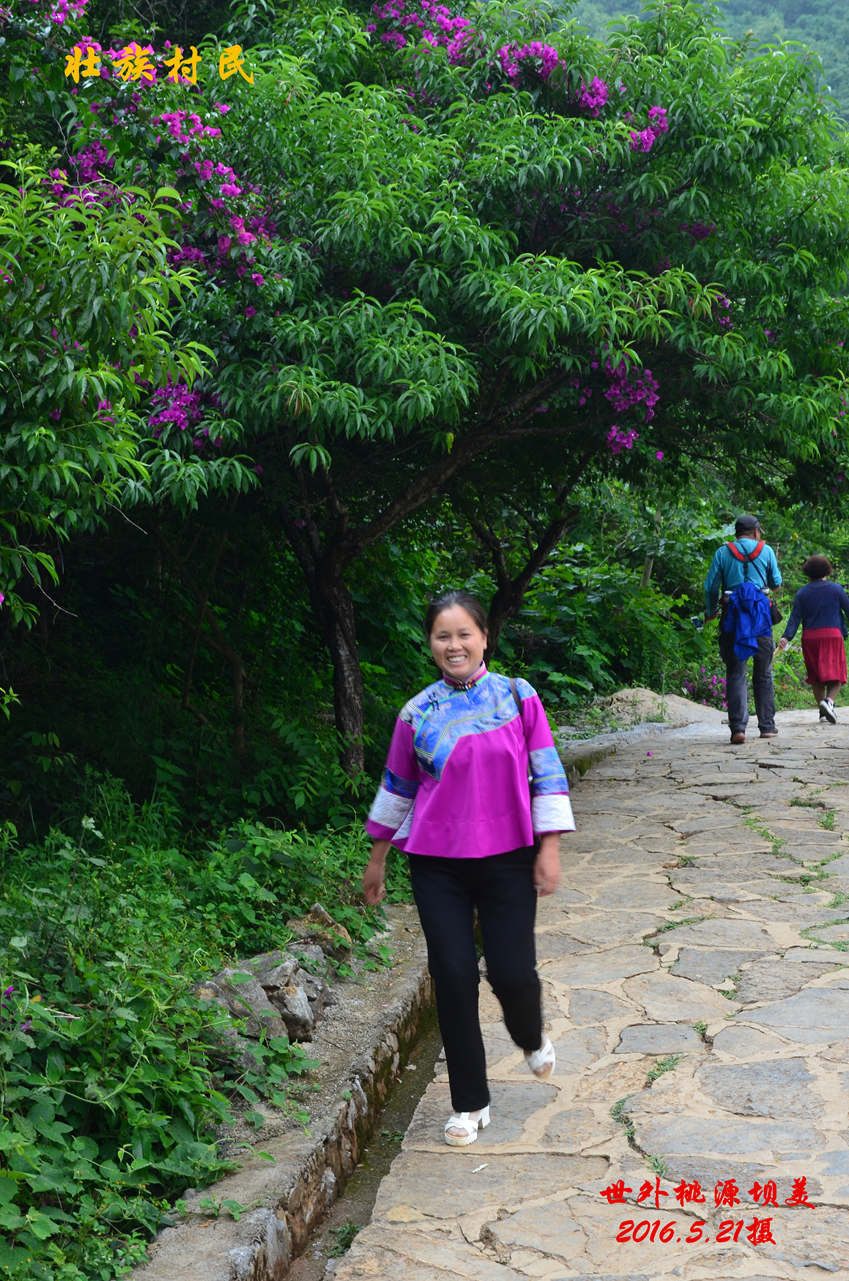 dsc_1381_副本.jpg