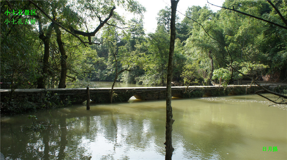 dsc01015_.jpg