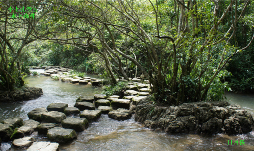 dsc01097_1_.jpg