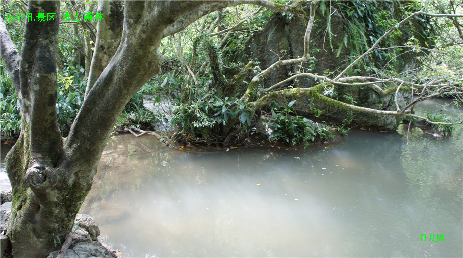 dsc01098_.jpg