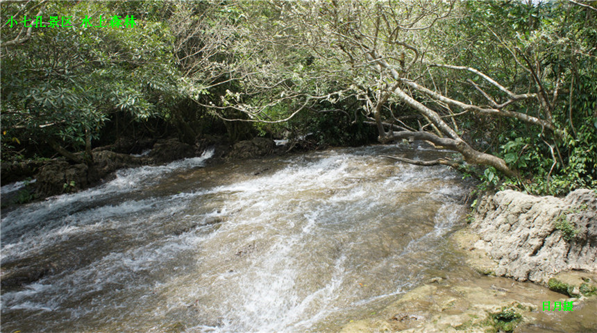 dsc01100_1_.jpg