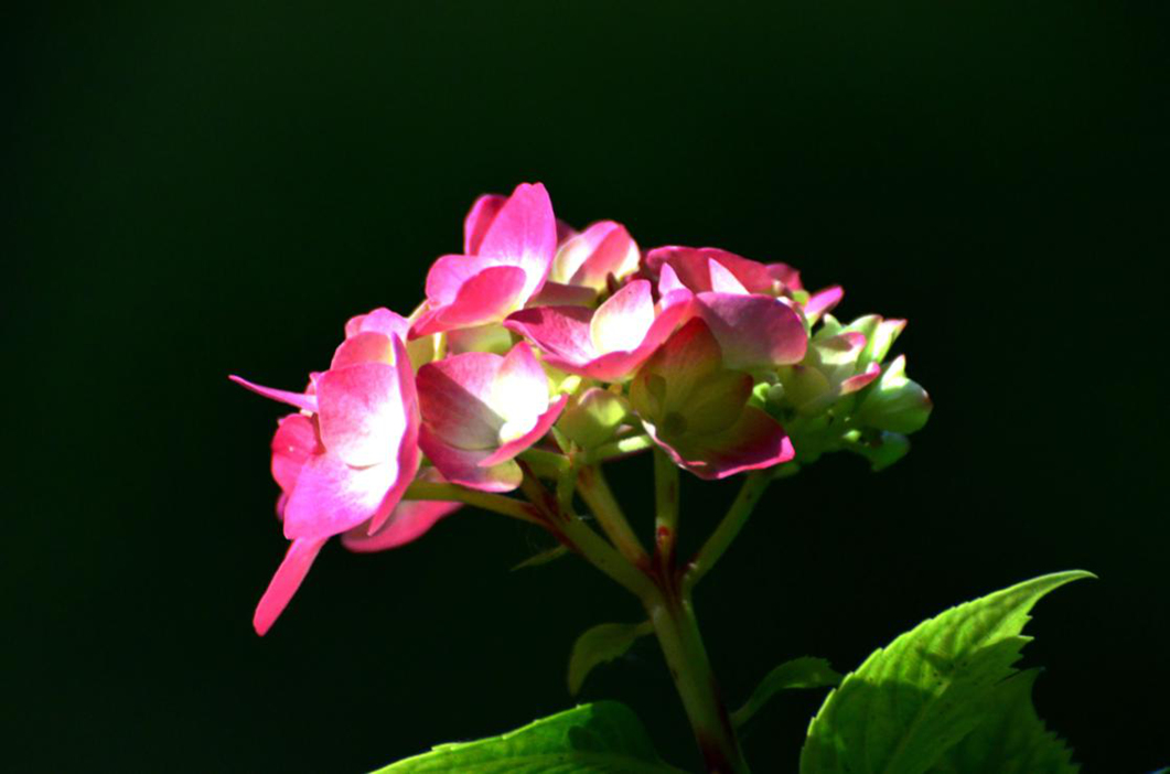 dsc_9613.jpg