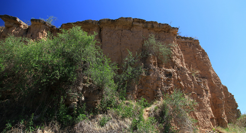 img_9762__.jpg