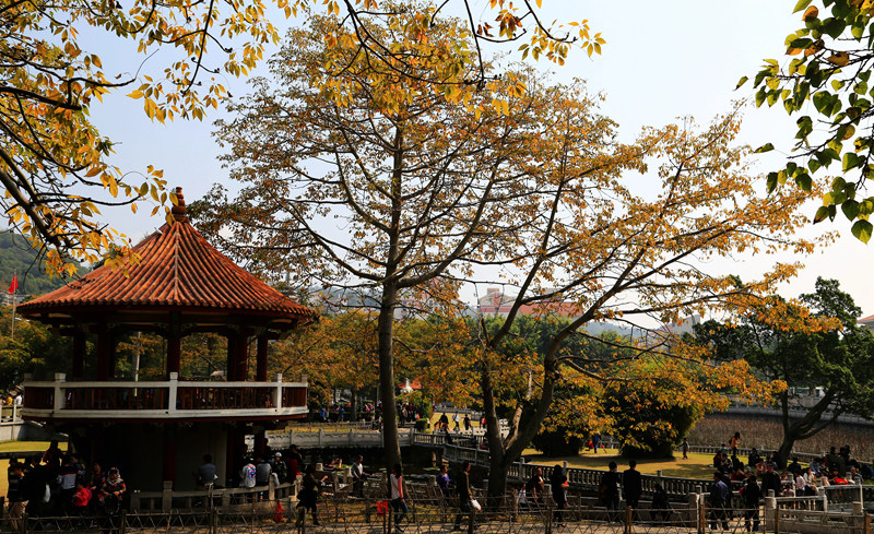 img_2966_副本_副本.jpg